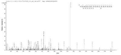 Based on the SEQUEST from database of E.coli host and target protein, the LC-MS/MS Analysis result of this product could indicate that this peptide derived from E.coli-expressed Mus musculus (Mouse) Aif1.Recombinant Mouse Allograft Inflammatory Factor 1 (AIF1) Protein (His)