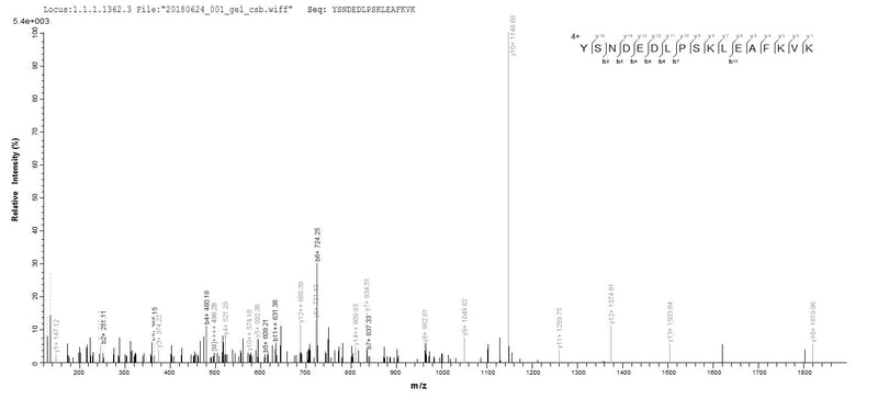 Based on the SEQUEST from database of E.coli host and target protein, the LC-MS/MS Analysis result of this product could indicate that this peptide derived from E.coli-expressed Mus musculus (Mouse) Aif1.Recombinant Mouse Allograft Inflammatory Factor 1 (AIF1) Protein (His)
