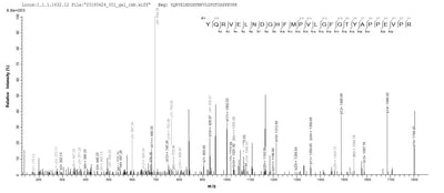 Based on the SEQUEST from database of E.coli host and target protein, the LC-MS/MS Analysis result of this product could indicate that this peptide derived from E.coli-expressed Homo sapiens (Human) AKR1C4.