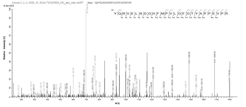 Based on the SEQUEST from database of E.coli host and target protein, the LC-MS/MS Analysis result of this product could indicate that this peptide derived from E.coli-expressed Homo sapiens (Human) AKR1C4.