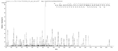 Based on the SEQUEST from database of E.coli host and target protein, the LC-MS/MS Analysis result of this product could indicate that this peptide derived from E.coli-expressed Homo sapiens (Human) AKR1C4.