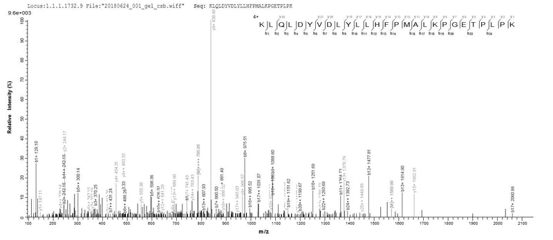 Based on the SEQUEST from database of E.coli host and target protein, the LC-MS/MS Analysis result of this product could indicate that this peptide derived from E.coli-expressed Homo sapiens (Human) AKR1C4.