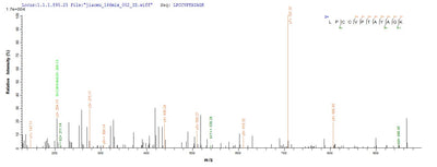 Based on the SEQUEST from database of E.coli host and target protein, the LC-MS/MS Analysis result of this product could indicate that this peptide derived from E.coli-expressed Mus musculus (Mouse) Amh.Recombinant Mouse Muellerian-Inhibiting Factor (AMH)