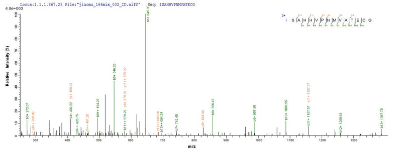 Based on the SEQUEST from database of E.coli host and target protein, the LC-MS/MS Analysis result of this product could indicate that this peptide derived from E.coli-expressed Mus musculus (Mouse) Amh.Recombinant Mouse Muellerian-Inhibiting Factor (AMH)