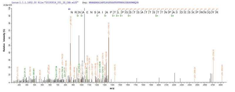 Based on the SEQUEST from database of E.coli host and target protein, the LC-MS/MS Analysis result of this product could indicate that this peptide derived from E.coli-expressed Rattus norvegicus (Rat) Anpep.