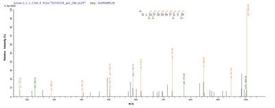 Based on the SEQUEST from database of E.coli host and target protein, the LC-MS/MS Analysis result of this product could indicate that this peptide derived from E.coli-expressed Mus musculus (Mouse) Anxa4.Recombinant Mouse Annexin A4 (ANXA4) Protein (His&Myc)