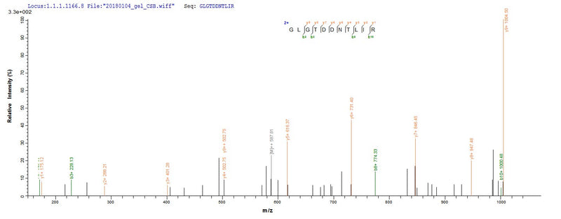 Based on the SEQUEST from database of E.coli host and target protein, the LC-MS/MS Analysis result of this product could indicate that this peptide derived from E.coli-expressed Mus musculus (Mouse) Anxa4.Recombinant Mouse Annexin A4 (ANXA4) Protein (His&Myc)