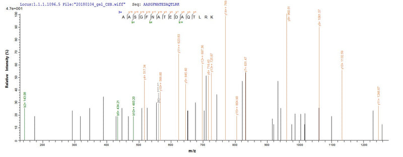 Based on the SEQUEST from database of E.coli host and target protein, the LC-MS/MS Analysis result of this product could indicate that this peptide derived from E.coli-expressed Mus musculus (Mouse) Anxa4.Recombinant Mouse Annexin A4 (ANXA4) Protein (His&Myc)