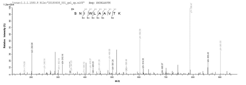 Based on the SEQUEST from database of E.coli host and target protein, the LC-MS/MS Analysis result of this product could indicate that this peptide derived from E.coli-expressed Homo sapiens (Human) AP2M1.