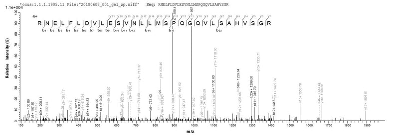 Based on the SEQUEST from database of E.coli host and target protein, the LC-MS/MS Analysis result of this product could indicate that this peptide derived from E.coli-expressed Homo sapiens (Human) AP2M1.