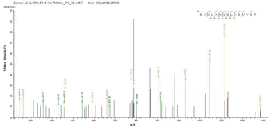 Based on the SEQUEST from database of E.coli host and target protein, the LC-MS/MS Analysis result of this product could indicate that this peptide derived from E.coli-expressed Mus musculus (Mouse) Arg2.Recombinant Mouse Arginase-2, Mitochondrial (ARG2) Protein (His-SUMO)