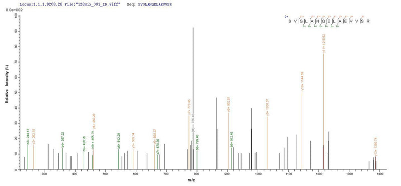 Based on the SEQUEST from database of E.coli host and target protein, the LC-MS/MS Analysis result of this product could indicate that this peptide derived from E.coli-expressed Mus musculus (Mouse) Arg2.Recombinant Mouse Arginase-2, Mitochondrial (ARG2) Protein (His-SUMO)