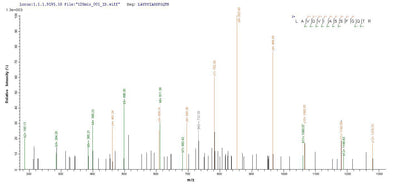 Based on the SEQUEST from database of E.coli host and target protein, the LC-MS/MS Analysis result of this product could indicate that this peptide derived from E.coli-expressed Mus musculus (Mouse) Arg2.Recombinant Mouse Arginase-2, Mitochondrial (ARG2) Protein (His-SUMO)