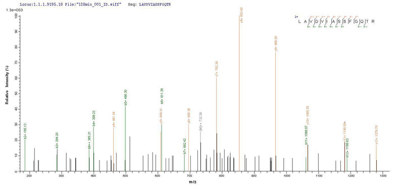 Based on the SEQUEST from database of E.coli host and target protein, the LC-MS/MS Analysis result of this product could indicate that this peptide derived from E.coli-expressed Mus musculus (Mouse) Arg2.Recombinant Mouse Arginase-2, Mitochondrial (ARG2) Protein (His-SUMO)