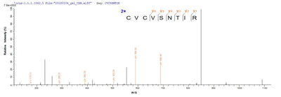 Based on the SEQUEST from database of E.coli host and target protein, the LC-MS/MS Analysis result of this product could indicate that this peptide derived from E.coli-expressed Homo sapiens (Human) ARID1A.Recombinant Human At-Rich Interactive Domain-Containing Protein 1A (ARID1A) Protein (His&Myc)