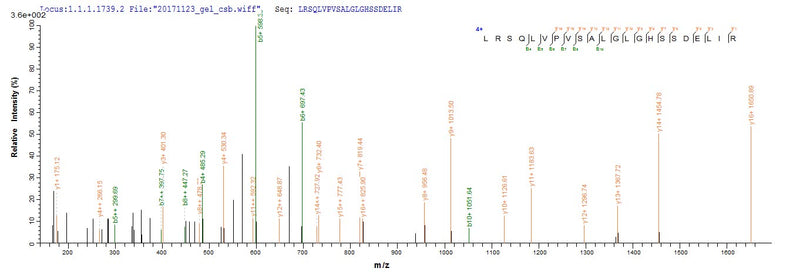 Based on the SEQUEST from database of E.coli host and target protein, the LC-MS/MS Analysis result of this product could indicate that this peptide derived from E.coli-expressed Rattus norvegicus (Rat) Artn.