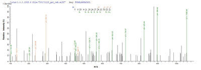 Based on the SEQUEST from database of E.coli host and target protein, the LC-MS/MS Analysis result of this product could indicate that this peptide derived from E.coli-expressed Rattus norvegicus (Rat) Artn.