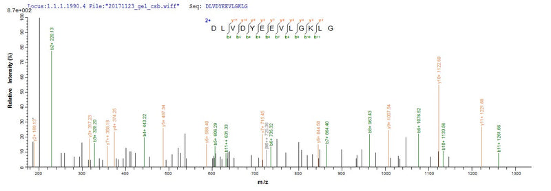 Based on the SEQUEST from database of E.coli host and target protein, the LC-MS/MS Analysis result of this product could indicate that this peptide derived from E.coli-expressed Homo sapiens (Human) ASPH.Recombinant Human Aspartyl/Asparaginyl Beta-Hydroxylase (ASPH) Protein (His-SUMO)