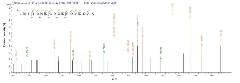 Based on the SEQUEST from database of E.coli host and target protein, the LC-MS/MS Analysis result of this product could indicate that this peptide derived from E.coli-expressed Homo sapiens (Human) ASPH.Recombinant Human Aspartyl/Asparaginyl Beta-Hydroxylase (ASPH) Protein (His-SUMO)