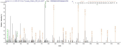 Based on the SEQUEST from database of E.coli host and target protein, the LC-MS/MS Analysis result of this product could indicate that this peptide derived from E.coli-expressed Homo sapiens (Human) ATP5A1.Recombinant Human Atp Synthase Subunit Alpha, Mitochondrial (ATP5F1A) Protein (His-SUMO)