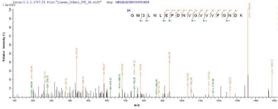 Based on the SEQUEST from database of E.coli host and target protein, the LC-MS/MS Analysis result of this product could indicate that this peptide derived from E.coli-expressed Homo sapiens (Human) ATP5A1.Recombinant Human Atp Synthase Subunit Alpha, Mitochondrial (ATP5F1A) Protein (His-SUMO)