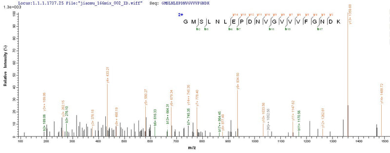 Based on the SEQUEST from database of E.coli host and target protein, the LC-MS/MS Analysis result of this product could indicate that this peptide derived from E.coli-expressed Homo sapiens (Human) ATP5A1.Recombinant Human Atp Synthase Subunit Alpha, Mitochondrial (ATP5F1A) Protein (His-SUMO)