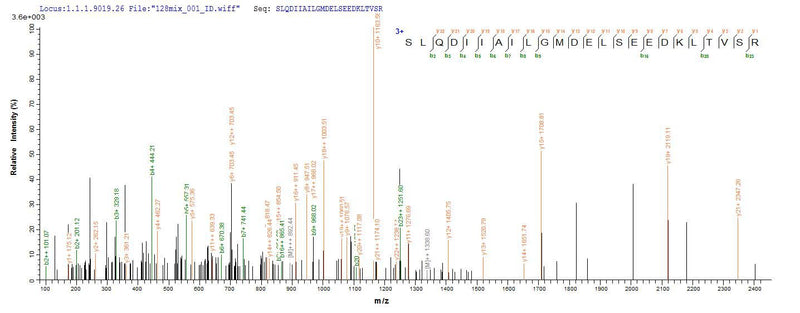 Based on the SEQUEST from database of E.coli host and target protein, the LC-MS/MS Analysis result of this product could indicate that this peptide derived from E.coli-expressed Mus musculus (Mouse) Atp5b.Recombinant Mouse Atp Synthase Subunit Beta, Mitochondrial (ATP5B) Protein (His-SUMO)