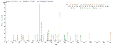 Based on the SEQUEST from database of E.coli host and target protein, the LC-MS/MS Analysis result of this product could indicate that this peptide derived from E.coli-expressed Mus musculus (Mouse) Atp5b.Recombinant Mouse Atp Synthase Subunit Beta, Mitochondrial (ATP5B) Protein (His-SUMO)