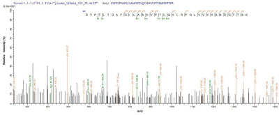 Based on the SEQUEST from database of E.coli host and target protein, the LC-MS/MS Analysis result of this product could indicate that this peptide derived from E.coli-expressed Homo sapiens (Human) ATP5D.