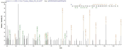 Based on the SEQUEST from database of E.coli host and target protein, the LC-MS/MS Analysis result of this product could indicate that this peptide derived from E.coli-expressed Homo sapiens (Human) ATP5D.