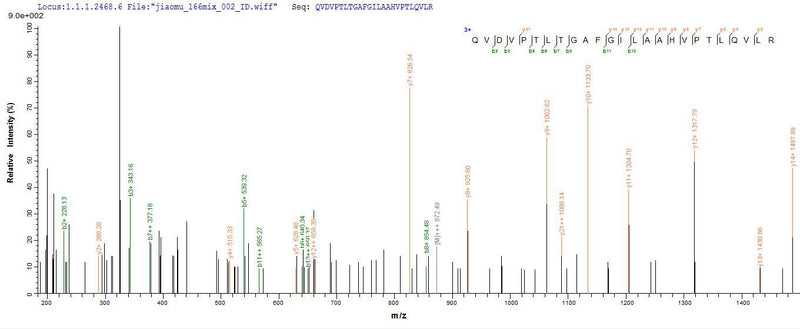 Based on the SEQUEST from database of E.coli host and target protein, the LC-MS/MS Analysis result of this product could indicate that this peptide derived from E.coli-expressed Homo sapiens (Human) ATP5D.