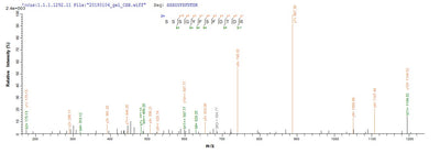 Based on the SEQUEST from database of E.coli host and target protein, the LC-MS/MS Analysis result of this product could indicate that this peptide derived from E.coli-expressed Homo sapiens (Human) BCL2L11.