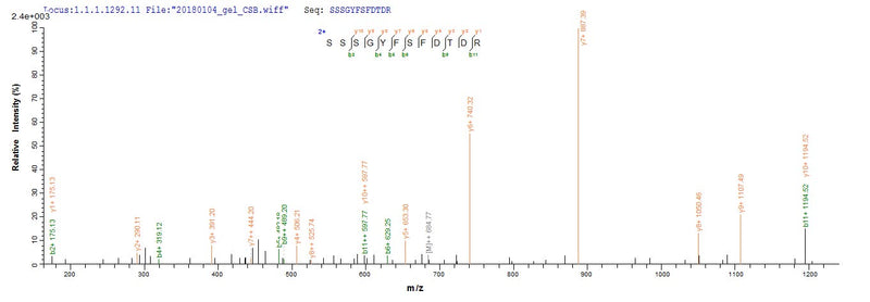 Based on the SEQUEST from database of E.coli host and target protein, the LC-MS/MS Analysis result of this product could indicate that this peptide derived from E.coli-expressed Homo sapiens (Human) BCL2L11.