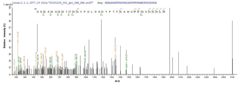 Based on the SEQUEST from database of E.coli host and target protein, the LC-MS/MS Analysis result of this product could indicate that this peptide derived from E.coli-expressed Mus musculus (Mouse) Bgn.Recombinant Mouse Biglycan (BGN) Protein (His)