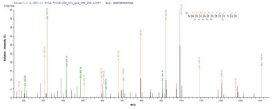 Based on the SEQUEST from database of E.coli host and target protein, the LC-MS/MS Analysis result of this product could indicate that this peptide derived from E.coli-expressed Homo sapiens (Human) BMP7.Recombinant Human Bone Morphogenetic Protein 7 (BMP7) Protein (His)