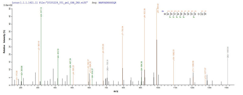 Based on the SEQUEST from database of E.coli host and target protein, the LC-MS/MS Analysis result of this product could indicate that this peptide derived from E.coli-expressed Homo sapiens (Human) BMP7.Recombinant Human Bone Morphogenetic Protein 7 (BMP7) Protein (His)