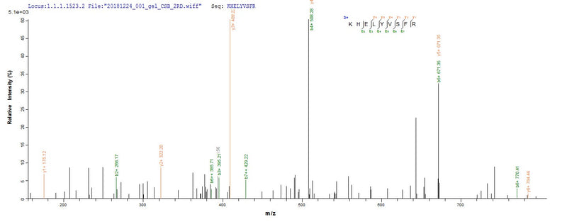 Based on the SEQUEST from database of E.coli host and target protein, the LC-MS/MS Analysis result of this product could indicate that this peptide derived from E.coli-expressed Homo sapiens (Human) BMP7.Recombinant Human Bone Morphogenetic Protein 7 (BMP7) Protein (His)