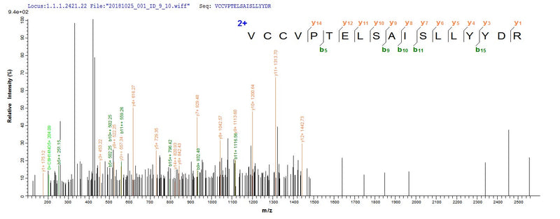 Based on the SEQUEST from database of E.coli host and target protein, the LC-MS/MS Analysis result of this product could indicate that this peptide derived from E.coli-expressed Mus musculus (Mouse) Bmp8b.