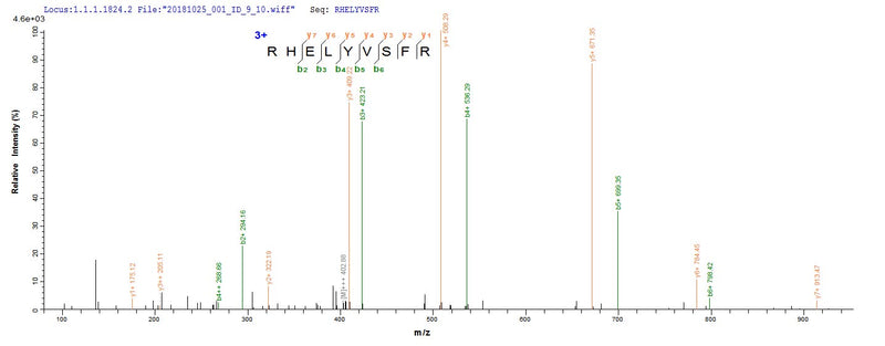 Based on the SEQUEST from database of E.coli host and target protein, the LC-MS/MS Analysis result of this product could indicate that this peptide derived from E.coli-expressed Mus musculus (Mouse) Bmp8b.