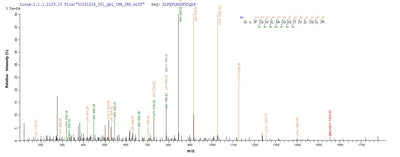 Based on the SEQUEST from database of E.coli host and target protein, the LC-MS/MS Analysis result of this product could indicate that this peptide derived from E.coli-expressed Mus musculus (Mouse) C1qa.Recombinant Mouse Complement C1Q Subcomponent Subunit A (C1QA) Protein (His-SUMO)