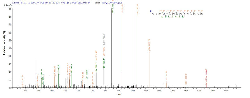 Based on the SEQUEST from database of E.coli host and target protein, the LC-MS/MS Analysis result of this product could indicate that this peptide derived from E.coli-expressed Mus musculus (Mouse) C1qa.Recombinant Mouse Complement C1Q Subcomponent Subunit A (C1QA) Protein (His-SUMO)
