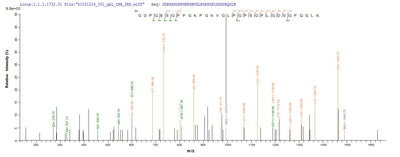 Based on the SEQUEST from database of E.coli host and target protein, the LC-MS/MS Analysis result of this product could indicate that this peptide derived from E.coli-expressed Mus musculus (Mouse) C1qa.Recombinant Mouse Complement C1Q Subcomponent Subunit A (C1QA) Protein (His-SUMO)