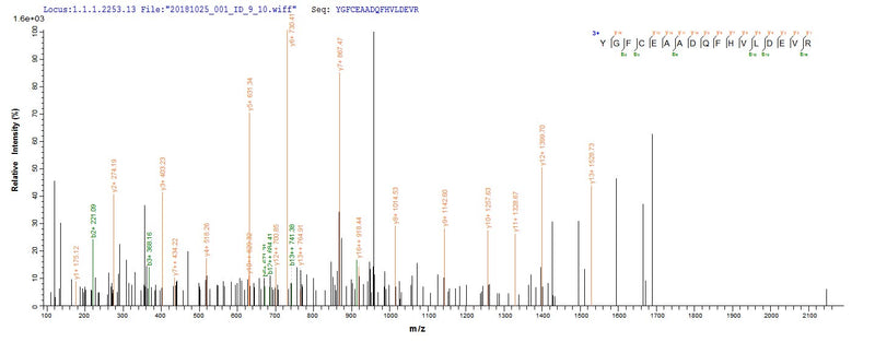 Based on the SEQUEST from database of E.coli host and target protein, the LC-MS/MS Analysis result of this product could indicate that this peptide derived from E.coli-expressed Homo sapiens (Human) C8G.