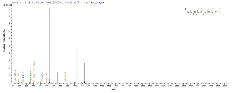 Based on the SEQUEST from database of E.coli host and target protein, the LC-MS/MS Analysis result of this product could indicate that this peptide derived from E.coli-expressed Homo sapiens (Human) C8G.