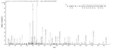 Based on the SEQUEST from database of E.coli host and target protein, the LC-MS/MS Analysis result of this product could indicate that this peptide derived from E.coli-expressed Homo sapiens (Human) CALML3.Recombinant Human Calmodulin-Like Protein 3 (CALML3) Protein (GST)
