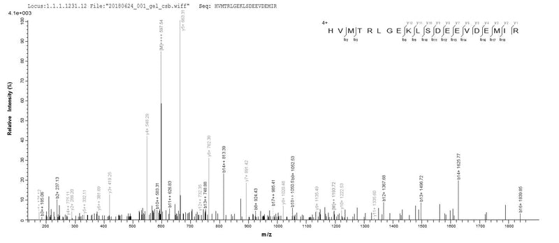 Based on the SEQUEST from database of E.coli host and target protein, the LC-MS/MS Analysis result of this product could indicate that this peptide derived from E.coli-expressed Homo sapiens (Human) CALML3.Recombinant Human Calmodulin-Like Protein 3 (CALML3) Protein (GST)