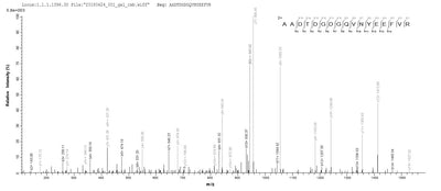 Based on the SEQUEST from database of E.coli host and target protein, the LC-MS/MS Analysis result of this product could indicate that this peptide derived from E.coli-expressed Homo sapiens (Human) CALML3.Recombinant Human Calmodulin-Like Protein 3 (CALML3) Protein (GST)