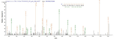 Based on the SEQUEST from database of E.coli host and target protein, the LC-MS/MS Analysis result of this product could indicate that this peptide derived from E.coli-expressed Homo sapiens (Human) CASP3.Recombinant Human Caspase-3 (CASP3) Protein (His)