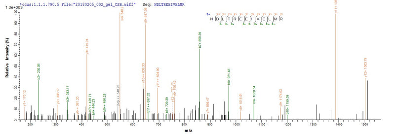 Based on the SEQUEST from database of E.coli host and target protein, the LC-MS/MS Analysis result of this product could indicate that this peptide derived from E.coli-expressed Homo sapiens (Human) CASP3.Recombinant Human Caspase-3 (CASP3) Protein (His)