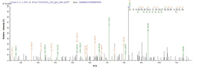 Based on the SEQUEST from database of E.coli host and target protein, the LC-MS/MS Analysis result of this product could indicate that this peptide derived from E.coli-expressed Homo sapiens (Human) CASP3.Recombinant Human Caspase-3 (CASP3) Protein (His)